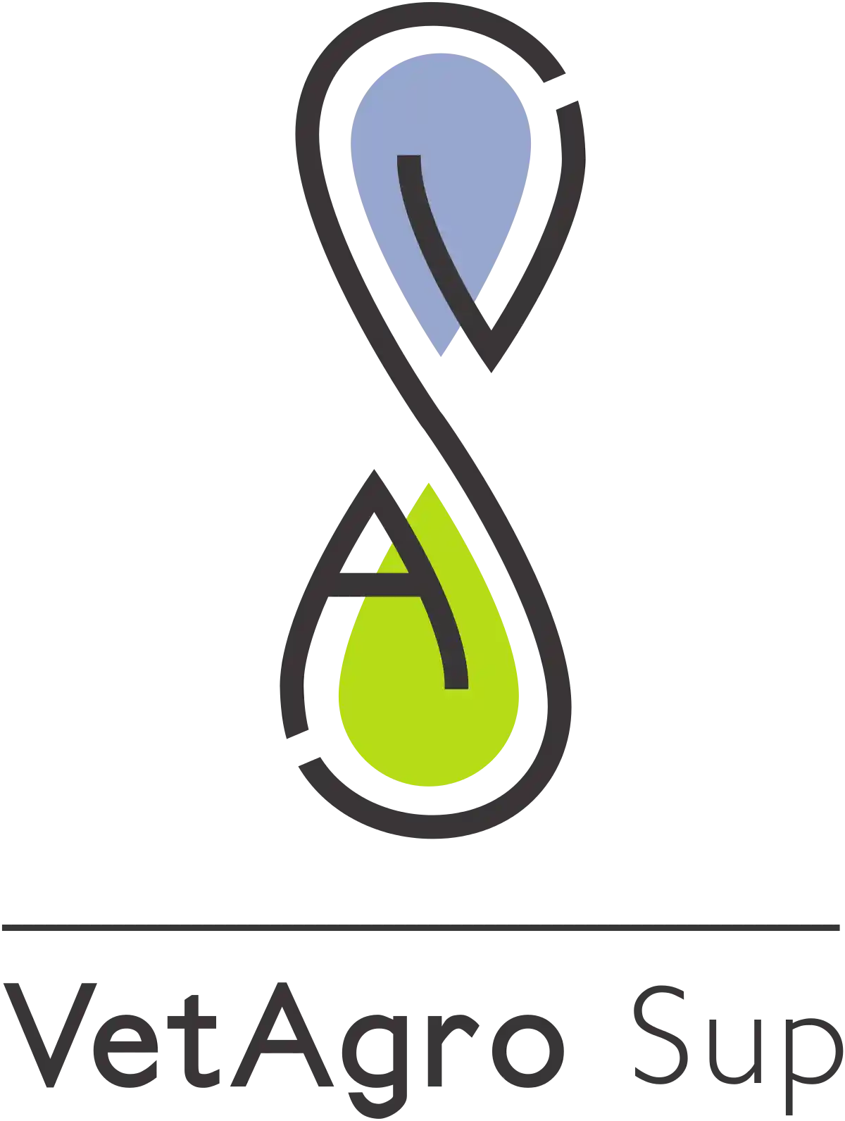 Logo de VetAgro Sup, établissement d’enseignement supérieur en santé publique vétérinaire, agronomie et alimentation.